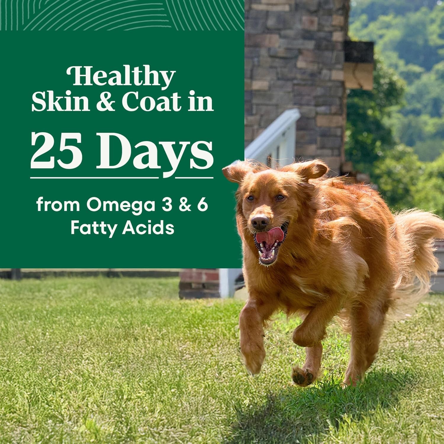 nutro-natural-choice-large-breed-adult-dry-dog-food-chicken-rice-30-lb-real-chicken-1-ingredient-non-gmo-made-in-usa-no-corn-wheat-soy-supports-joints-digestion-immunity-skin-coat