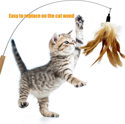 Cat Feather Toys Refill, 16 Pieces Cat Wand Replacement Feathers Toy for Indoor Cats2