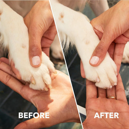 Dremel Pawcontrol 7760-PET Dog Nail Grinder and Trimmer - Cordless & Rechargeable Pet Grooming Tool Kit - Safe for Dogs, Cats, and Small Animals (Amazon Exclusive)4