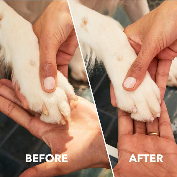 Dremel Pawcontrol 7760-PET Dog Nail Grinder and Trimmer - Cordless & Rechargeable Pet Grooming Tool Kit - Safe for Dogs, Cats, and Small Animals (Amazon Exclusive)4