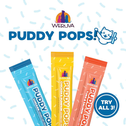 Weruva Puddy Pops, Chicken and Pumpkin Lickable Cat Treats, 0.5Oz Tube, Pack of 54