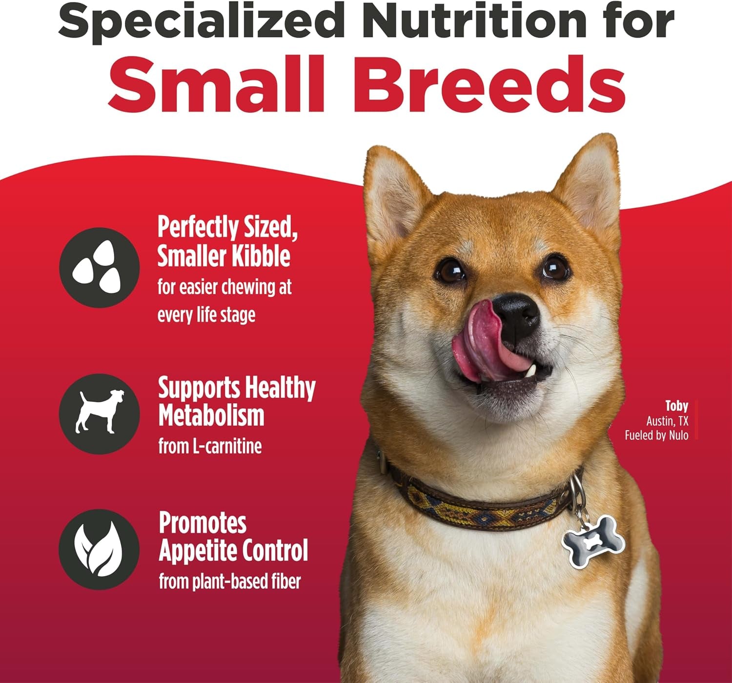 nulo-freestyle-small-breed-dog-food-dry-salmon-lentils-puppy-adult-grain-free-dog-food-natural-high-protein-smaller-sized-kibble-with-bc30-probiotic-for-healthy-digestion-support-6lb-bag