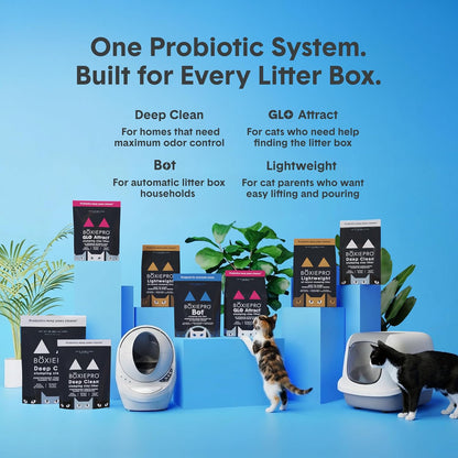 Boxie Probiotic Clumping Cat Litter 40+ Day Odor Control Dust Free 16 Lb8
