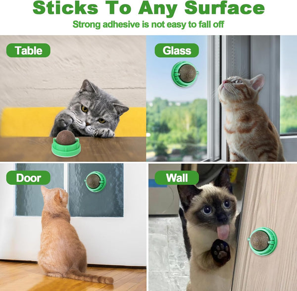 CCINEE 3PCS Catnip Balls for Cats Wall Catnip Toys Edible Cat Toys for Cat Lick Safe Healthy Kitten Chew Toys Teeth Cleaning Dental Cat Toys4