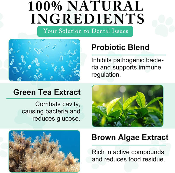 ARMOYA Dog Dental Powder - Teeth Cleaning Powder for Dogs - Dog Dental Care - Plaque & Bad Breath off P-Owder D-Og - D-Ental Care Supplies for Small - Medium - Large Do-Gs4