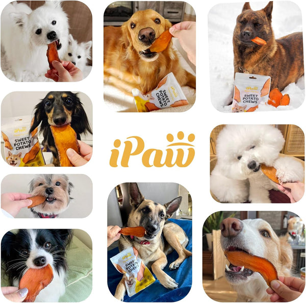 Ipaw Sweet Potato Dog Treats, Sqf-Certified Production Process Dog Chew | Human Grade, Single Ingredient, Rawhide Alternative Dog Treats for Vegetarian, Hypoallergenic, Easy to Digest6