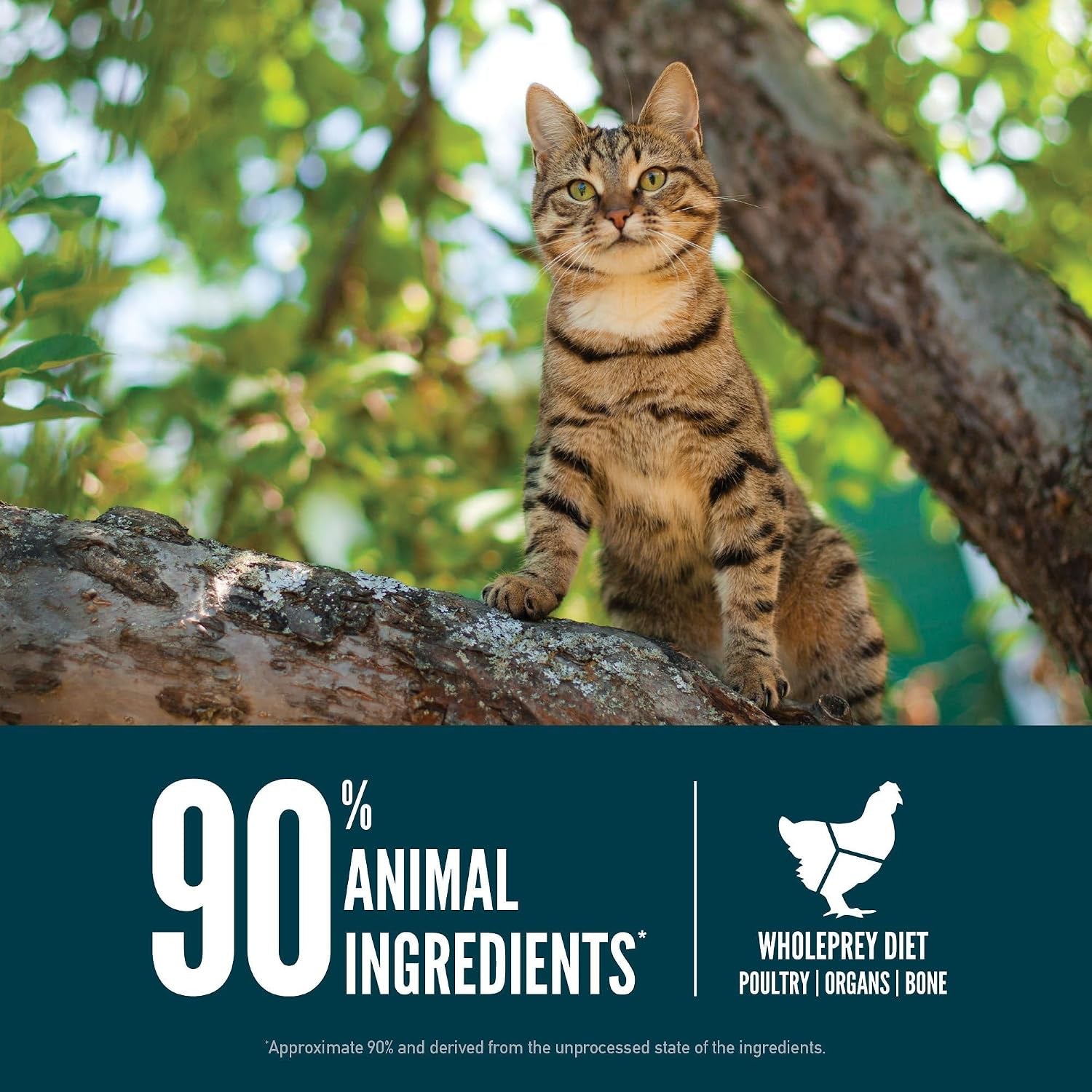 orijen-guardian-8-grain-free-wholeprey-dry-cat-food-4lb-bag-90-animal-ingredients-freeze-dried-fresh-or-raw-ingredients-grain-free-omega-3-fatty-acids-skin-coat-immune-support