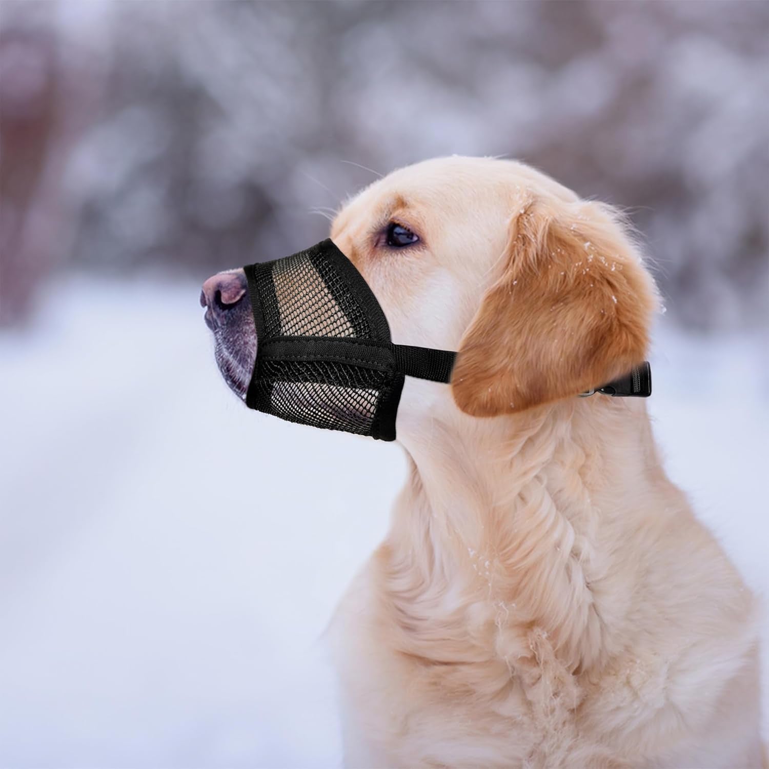dog-muzzle-for-large-dogs-air-mesh-muzzle-for-large-sized-dog-adjustable-no-bark-dogs-muzzles-for-scavenging-licking-chewing-prevent-biting-l-7-9-9-4