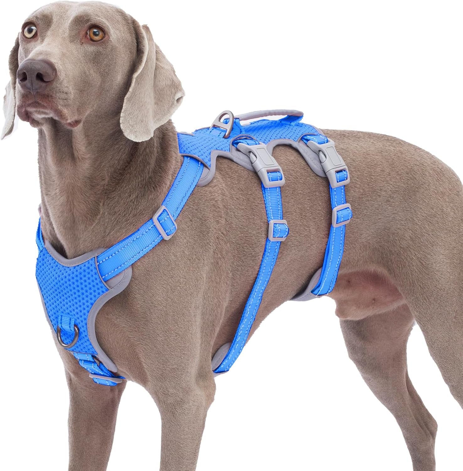 huntboo-escape-proof-harness-no-slip-dog-harness-escape-proof-fully-reflective-harness-with-handle-breathable-durable-adjustable-vest-for-medium-dogs-walking-and-training-gear-black-m