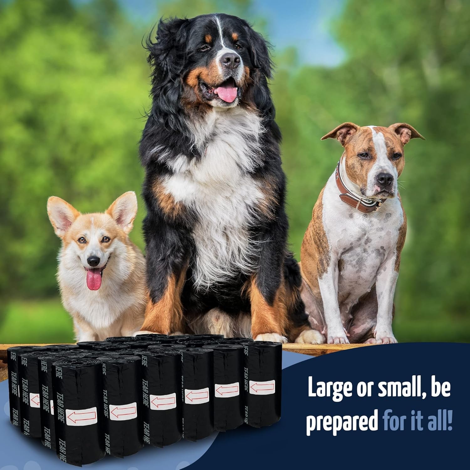 reli-dog-poop-bags-w-holder-360-pack-24-rolls-leash-clip-dispenser-9x13-large-dog-bag-for-poop-unscented-leak-proof-black-pet-waste-carrier-refills-w-clip-dispenser