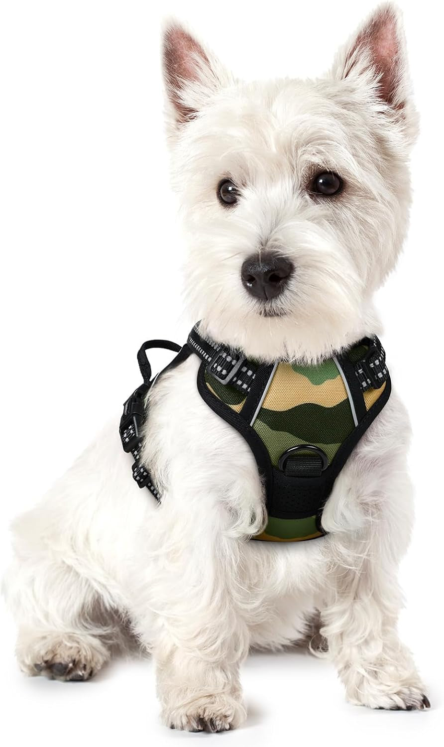 rabbitgoo-dog-harness-no-pull-for-large-dogs-with-2-leash-clips-pet-vest-no-choke-with-handle-adjustable-soft-padded-reflective-easy-control-for-walking-black-large