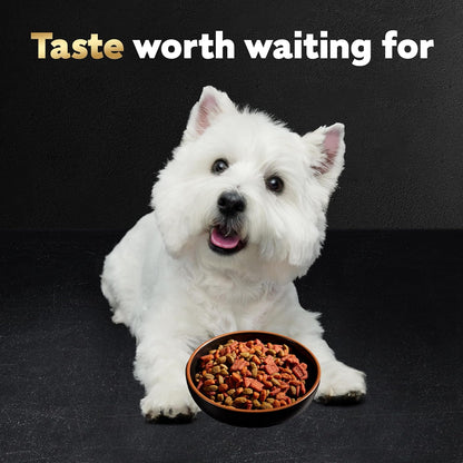 Cesar Small Breed Dry Dog Food, Filet Mignon & Spring Vegetables, 12 Lb | Made in USA, Real Beef #1 Ingredient, 26 Essential Nutrients, Supports Small Breed Health, No Artificial Flavors13