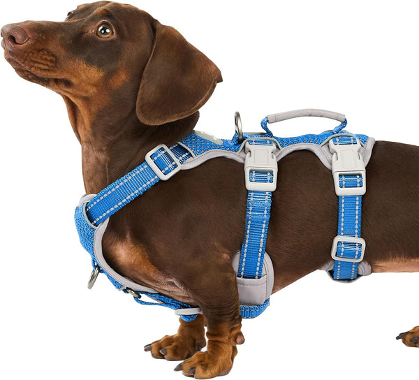 Huntboo Escape Proof Harness, No Slip Dog Harness Escape Proof, Fully Reflective Harness with Handle, Breathable, Durable, Adjustable Vest for Medium Dogs Walking and Training Gear (Black, M)28