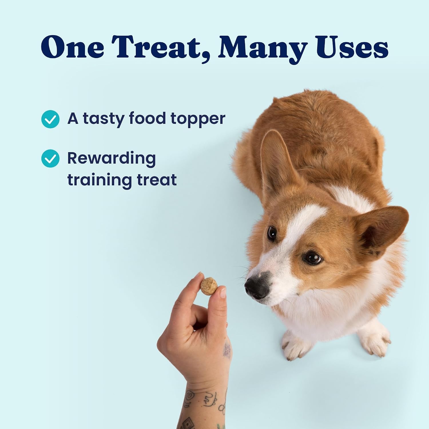 solid-gold-freeze-dried-dog-food-w-real-beef-pumpkin-superfoods-freeze-dried-raw-dog-food-toppers-for-picky-eaters-to-serve-as-a-nutrient-dense-meal-topper-or-high-protein-treats-1-5oz