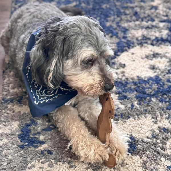 SPOT Dura-Fused Leather Squirrel Dog Toy – Real Leather & Jute Fabric, Double-Stitched & Durable, Soft Stuffed Squeaky Interactive Chew Toy for Moderate Chewers, Small & Medium Dogs, 8In13
