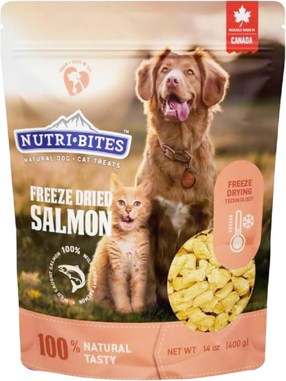 Nutri Bites Freeze Dried Salmon Dog and Cat Treats, 14 Oz1