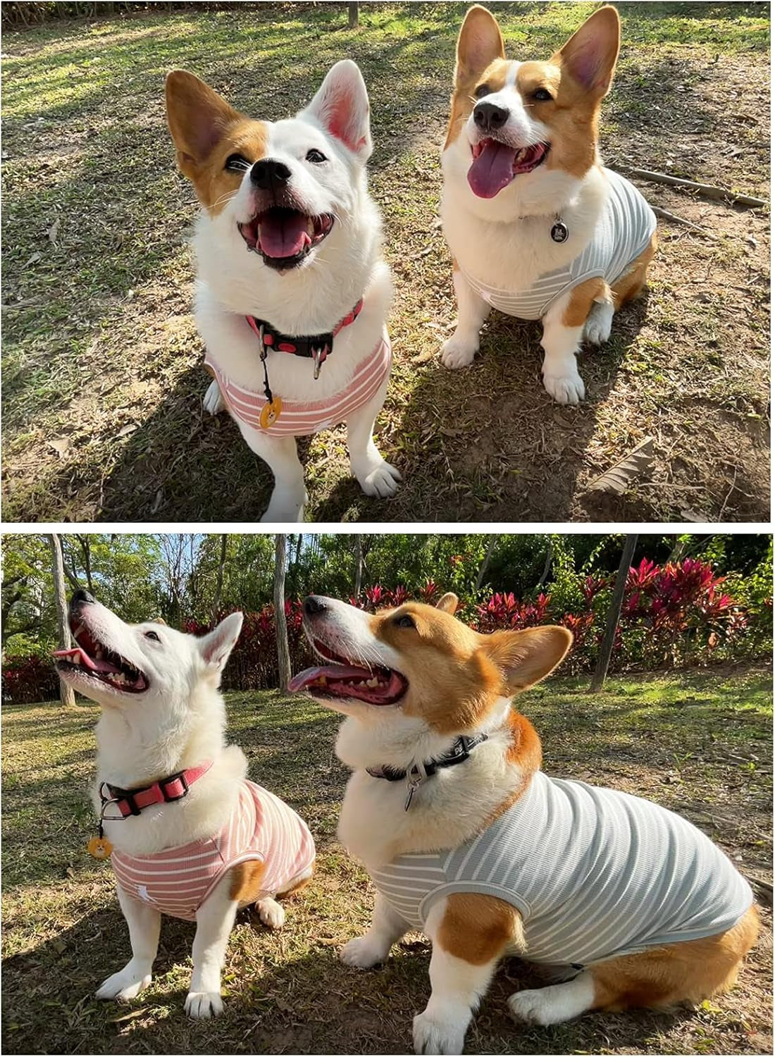 koneseve-dog-shirt-vest-lightweight-stretchy-dog-t-shirts-soft-cool-sleeveless-stripe-vests-breathable-clothes-for-puppy-kitty-cats-small-medium-large-dogs-2-pack-pink-green-s-small