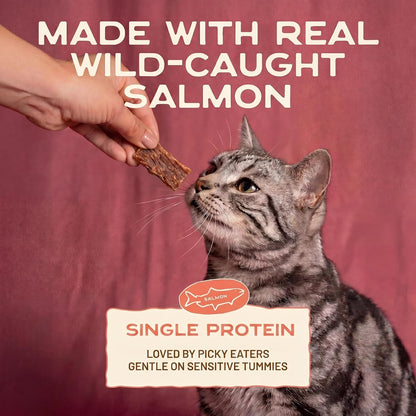 Smart Cookie Salmon Jerky Cat Treats – Real Salmon & Flaxseed, Omega-3S for Skin & Coat, Grain Free, High Protein, Handcrafted Natural Treat – Made in the USA (Pack of 1)3