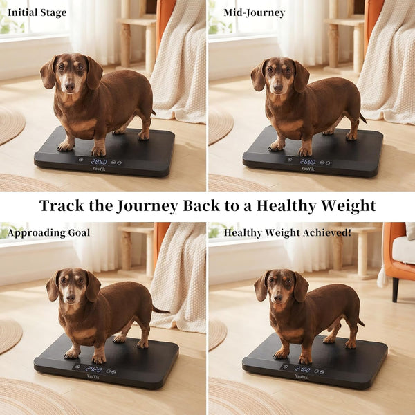 Yauyik Digital Pet Scale, Baby Scale with Non-Slip Mat, up to 40Kg, Black | High Precision Puppy Whelping Scale for Kittens, and Crawl Pet, 5 Units, LED Display, Hold Function（Batteries Included）9
