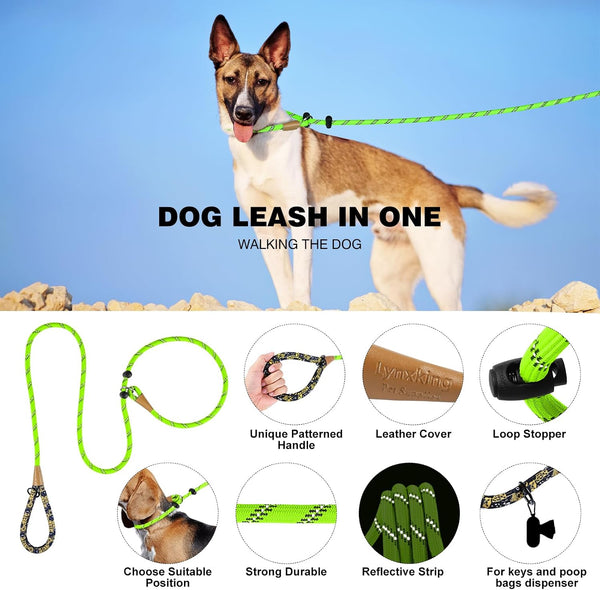 Lynxking Slip Lead Dog Leash Reflective, Heavy Duty Comfortable Strong Rope for Large Medium Small Dogs No Pull Pet Training (Light Green, Large 1/2In X 6Ft-Slip Lead)2