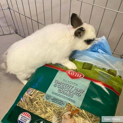 Kaytee Timothy Hay & Orchard Grass for Guinea Pigs, Rabbits & Other Small Animals, 48 Oz7