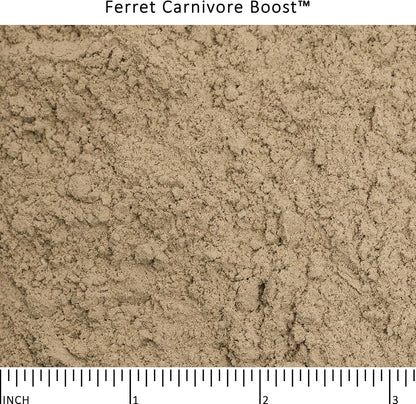 Ferret Carnivore Boost™3
