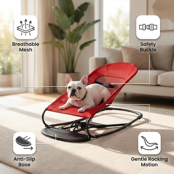 Cat & Dog Rocking Chair - Bouncer Bed for Frenchie, French Bulldog Lounge, Outdoor Portable Foldable Pet Furniture. Adjustable Height, Breathable Mesh, Safety Harness for Small Animals & Puppies7