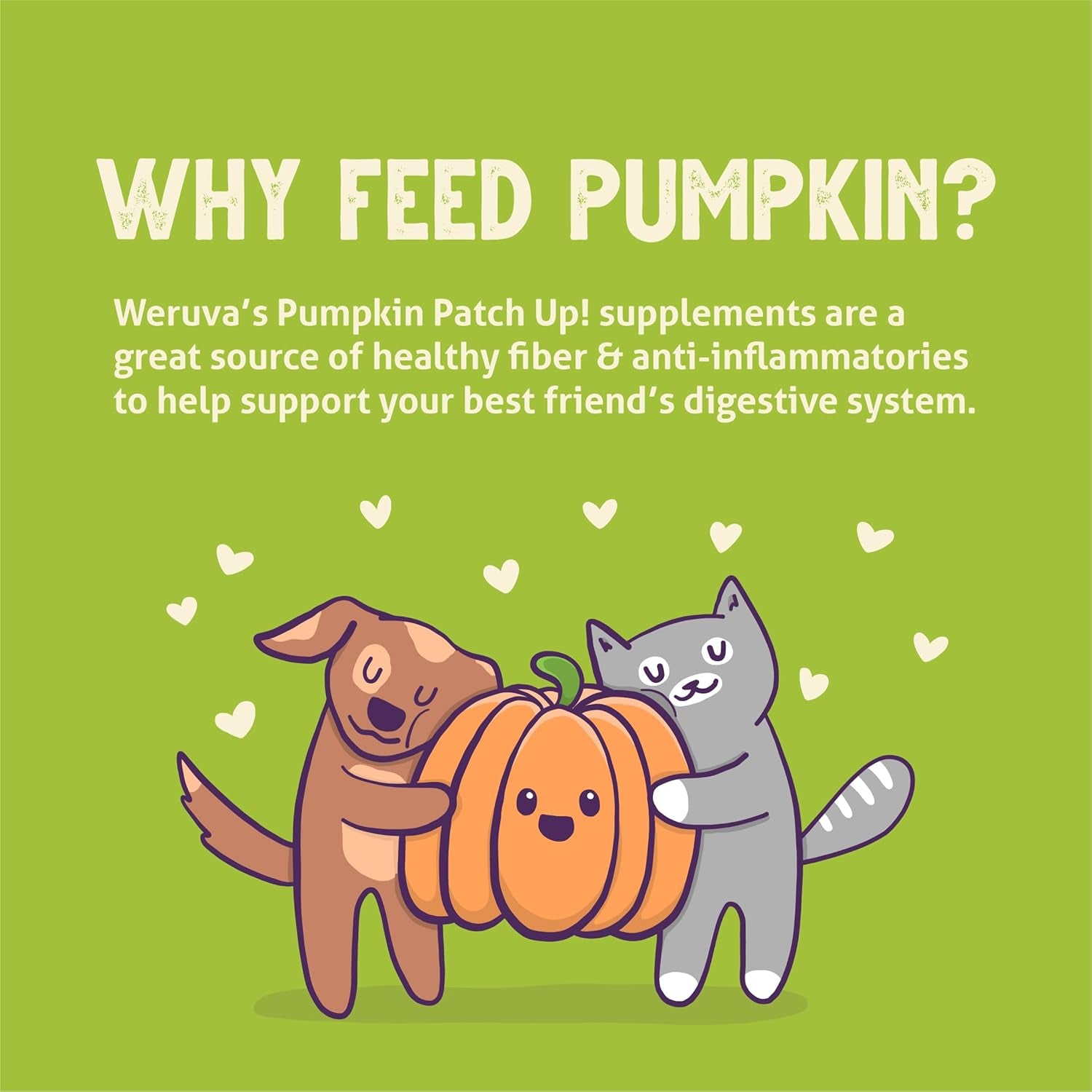 weruva-pumpkin-patch-up-pumpkin-puree-pet-food-supplement-for-dogs-cats-2-80oz-pouch-pack-of-12