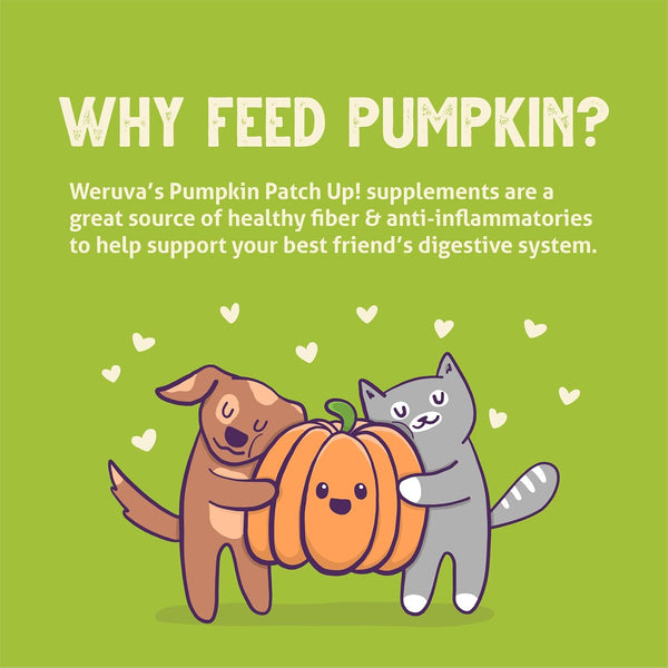 Weruva Pumpkin Patch Up!, Pumpkin Puree Pet Food Supplement for Dogs & Cats, 2.80Oz Pouch (Pack of 12)8