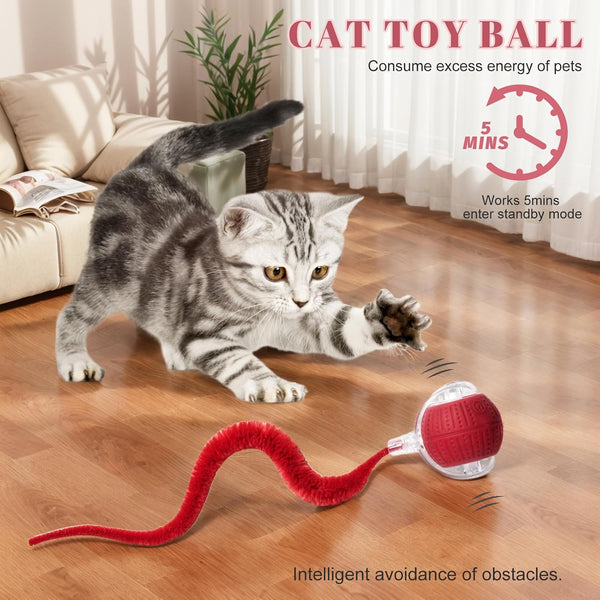2 PCS Interactive Cat Toys for Indoor Cats, Fast Rolling on Carpet Flash and Motion Activated Cat Balls for Bored Indoor Cats4