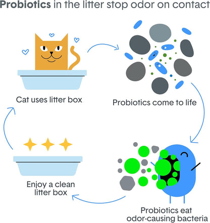 Boxie Probiotic Clumping Cat Litter 40+ Day Odor Control Dust Free 16 Lb6