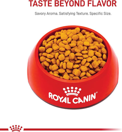ROYAL CANIN Feline Care Nutrition Urinary Care Adult Dry Cat Food, 6 Lb Bag8