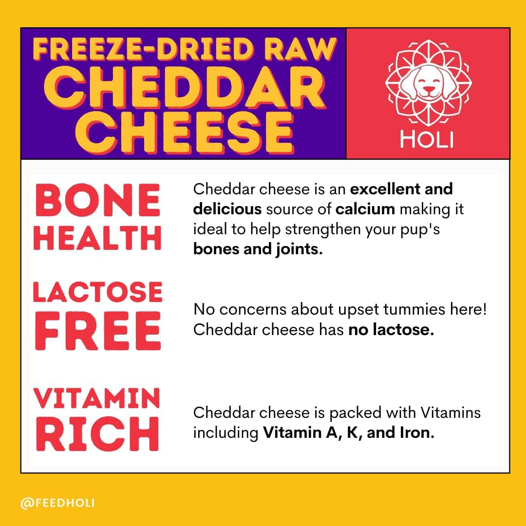 holi-freeze-dried-cheddar-cheese-dog-treats-100-all-natural-human-grade-single-ingredient-lactose-free-grain-free-gluten-free-soy-free-5-ounce