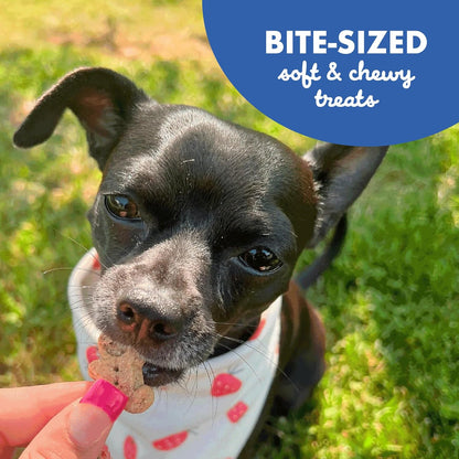 Buddy Biscuits Original Soft & Chewy W/Bacon & Cheese - 20Oz.7