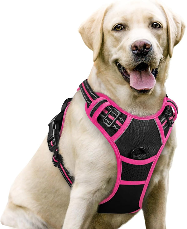 Rabbitgoo Dog Harness, No Pull for Large Dogs with 2 Leash Clips, Pet Vest | No Choke with Handle, Adjustable Soft Padded, Reflective, Easy Control for Walking, Black, Large151