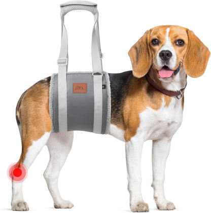 Adjustable Dog Lift Harness Dog Sling for Large Dogs Hind Leg Support Soft Lift Support and Rehab Harness for Weak Rear Legs, Helps Senior, Injured, Disabled and after ACL Surgery Dogs Large14