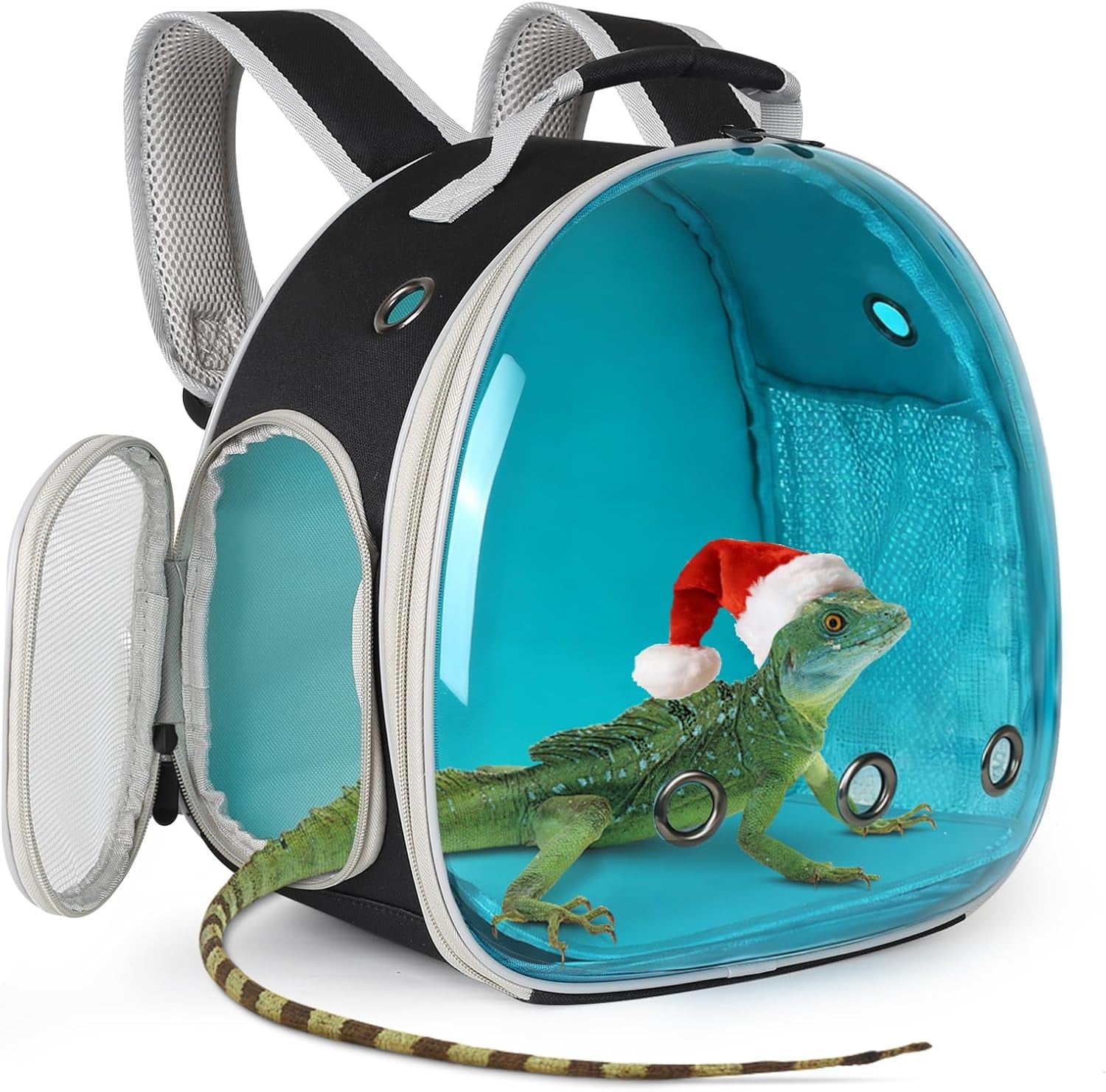 bearded-dragon-travel-carrier-lizards-carrier-small-animal-travel-carrier-for-sugar-glider-hedgehog-rat-parrot-bird-guinea-pig-portable-guinea-pig-travel-bag-for-2