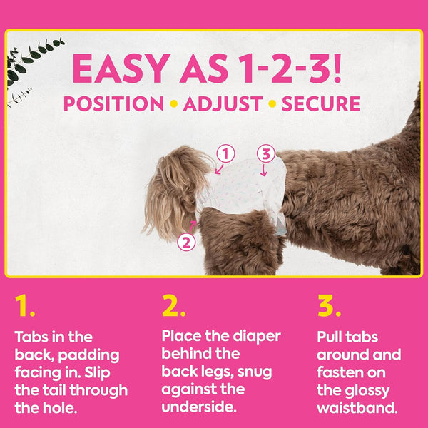 OUT! Petcare Female Dog Diapers, Disposable Dog Diapers, M/L, 32 Count | Dog Diaper, Potty Training, Incontinence Support, Leak Proof, Puppy Training, Dog in Heat, Disposable Protection, Secure Fit4