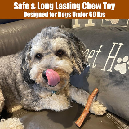 SPOT Bam-Bones plus Branch -Bamboo Fiber & Nylon, Durable Long Lasting Dog Chew for Aggressive Chewers – Great Toy for Adult Dogs & Teething Puppies under 60Lbs, Non-Splintering, 5.75In, Beef Flavor5