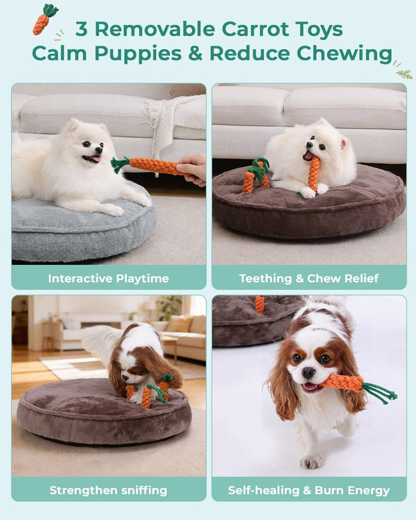 KSIIA Puppy Bed for Small Dogs, 28 Inch Washable Calming Plush round Dog Bed with Carrot Chew Toy, Orthopedic Support, Anti-Anxiety & Non-Slip Base for Puppies & Cats, Green2