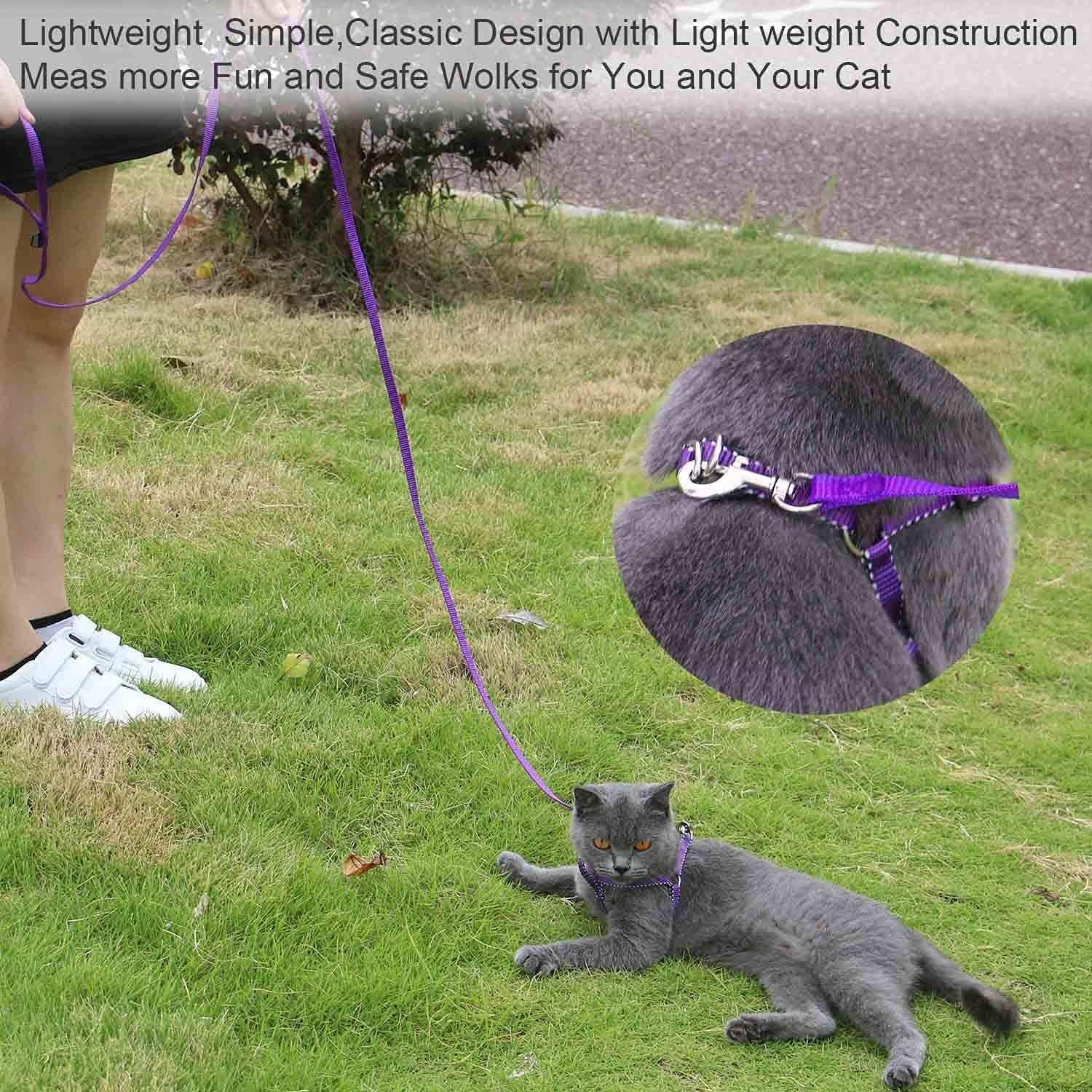 amagood-6-ft-puppy-leash-strong-traditional-style-with-easy-to-use-collar-hook-great-for-small-medium-and-large-dogs-5-8in-x-6-ft-purple