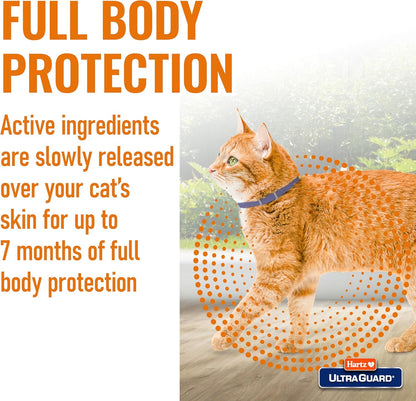 Hartz Ultraguard Flea & Tick Collar for Cats and Kittens, 7 Month Flea and Tick Protection and Prevention, White4