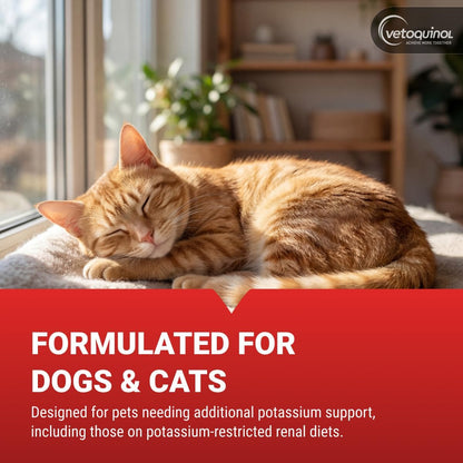 Vetoquinol Renal K - Potassium Supplement for Dogs & Cats - Supports Managing Potassium Levels - Palatable Gel with Maple Flavor - 5Oz4