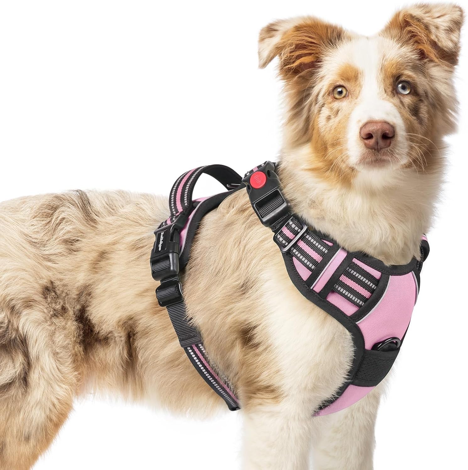rabbitgoo-dog-harness-medium-sized-updated-easy-on-off-with-3-buckles-no-pull-no-choke-walking-with-2-clips-and-handle-adjustable-soft-reflective-blue-medium