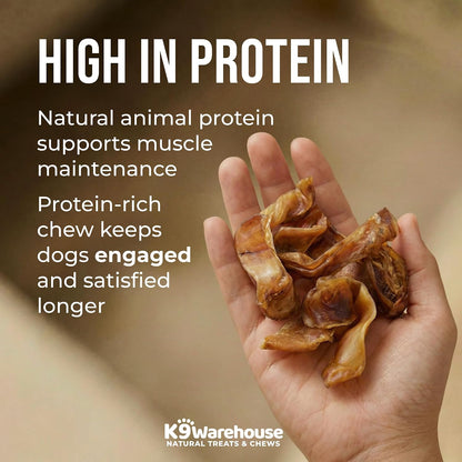 K9Warehouse Bulk Pig Ear Bites for Dogs 100% Pork, Rawhide Alternative, 1Lb | Single Ingredient, No Hormones or Chemicals, Hand-Selected Quality, Sized for Small and Medium Pups, Fights Tartar Buildup4