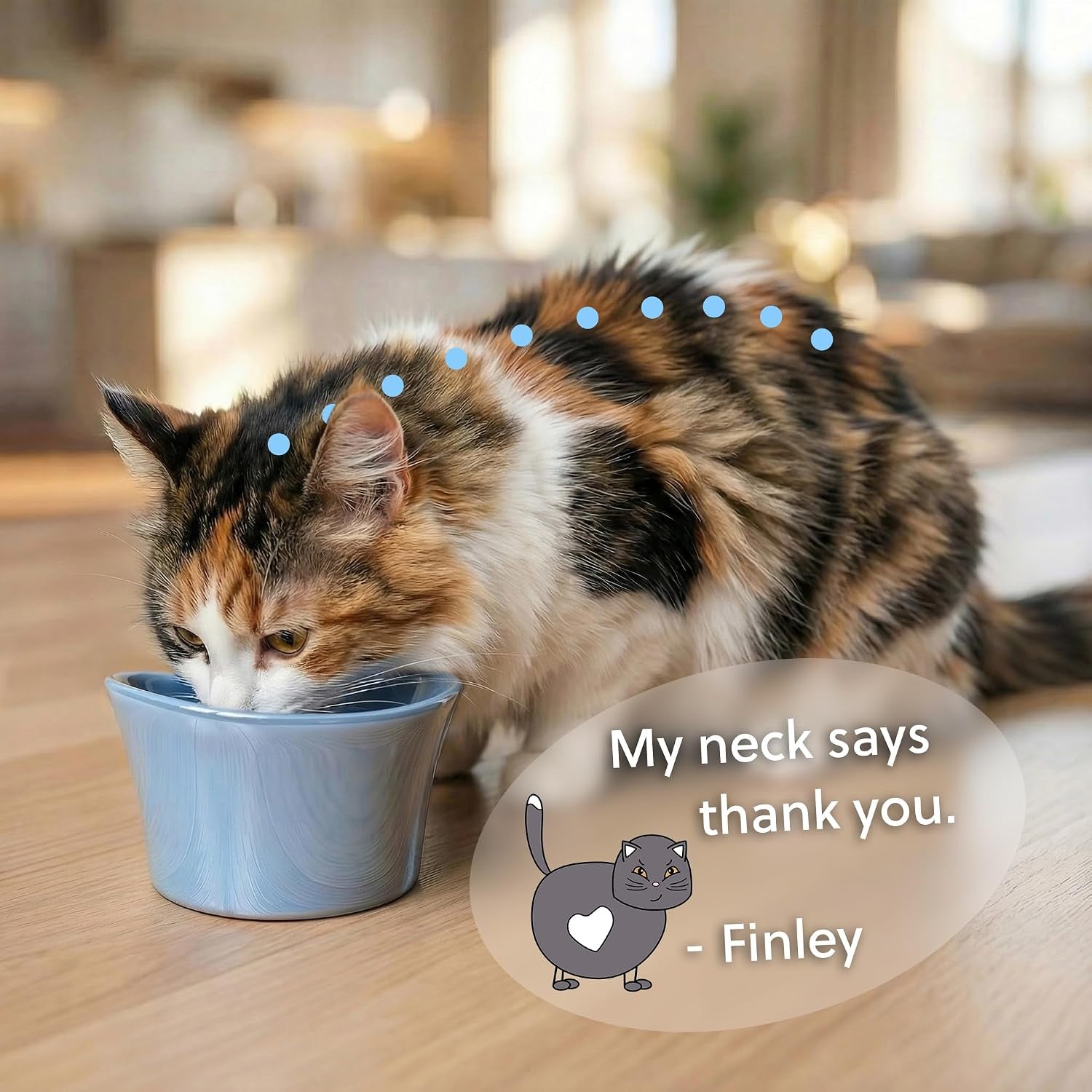 elevated-cat-bowls-for-water-whisker-neck-fatigue-shallow-cat-dishes-raised-bowl-for-indoor-cats-vet-recommended-height-modern-pedestal-design-non-slip-dishwasher-safe-8-oz-powder-blue