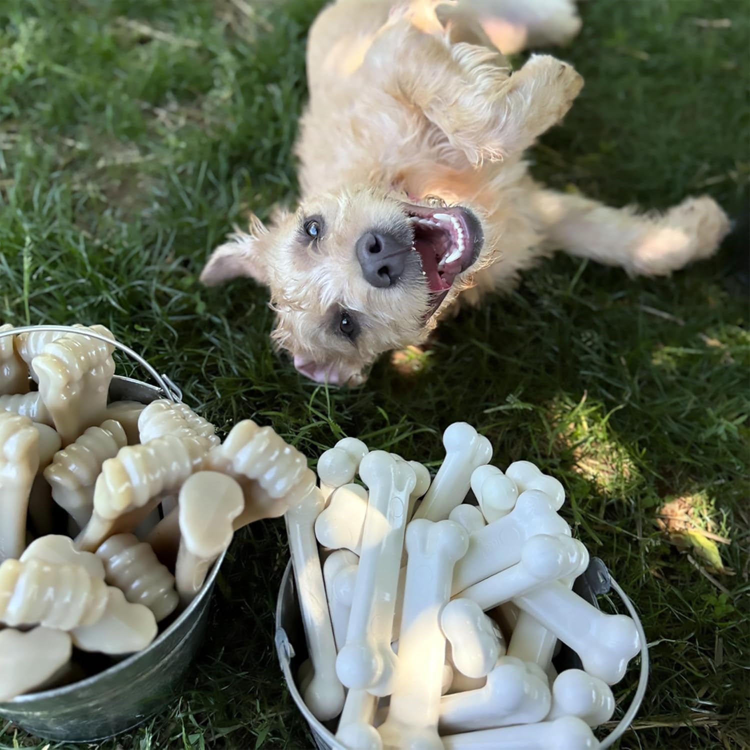nylabone-power-chew-original-bone-dog-chew-toys-medium-2-count-chicken-and-bacon-flavor-durable-chew-toys-discourages-destructive-chewing-long-lasting-for-dogs-up-to-35-pounds