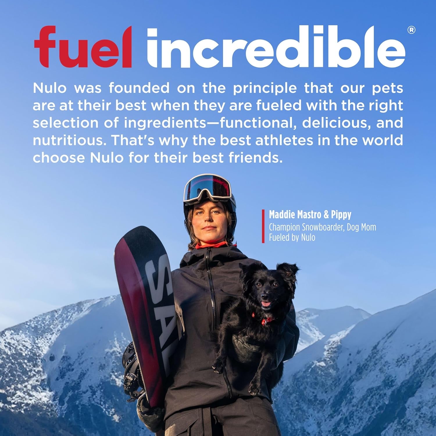 nulo-freestyle-small-breed-dog-food-dry-salmon-lentils-puppy-adult-grain-free-dog-food-natural-high-protein-smaller-sized-kibble-with-bc30-probiotic-for-healthy-digestion-support-6lb-bag