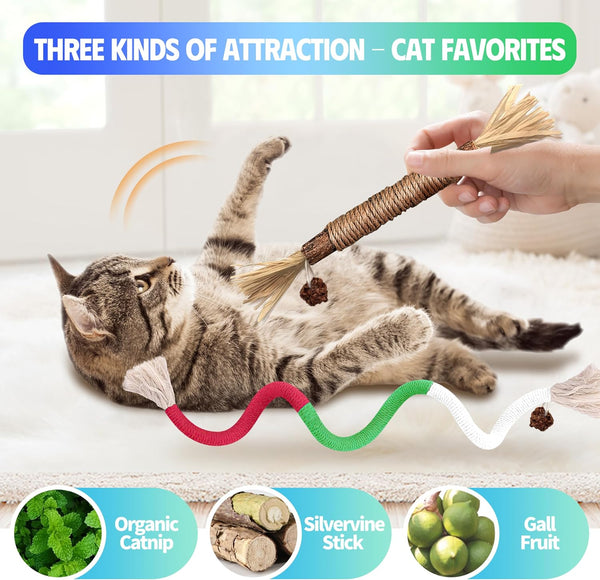 Silvervine Sticks Cat Chew Toys for Indoor Cats Dental Care Teeth Cleaning, Natural Kitten & Cat Teething Toys for Health, Catnip Toys Cat Chew Rope Suitable for All Breeds of Aggressive Chewers Cat2