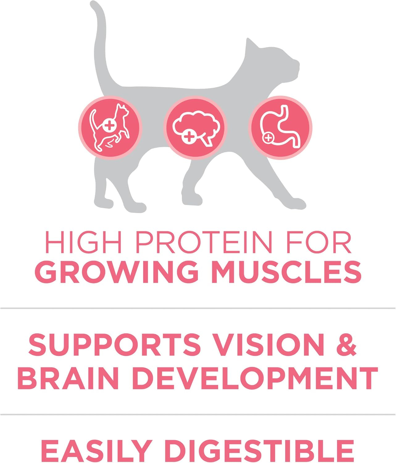 purina-one-high-protein-natural-dry-kitten-food-plus-healthy-kitten-formula-7-lb-bag